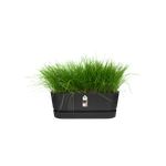 greenville pflanzgefäß lang 50cm living schwarz